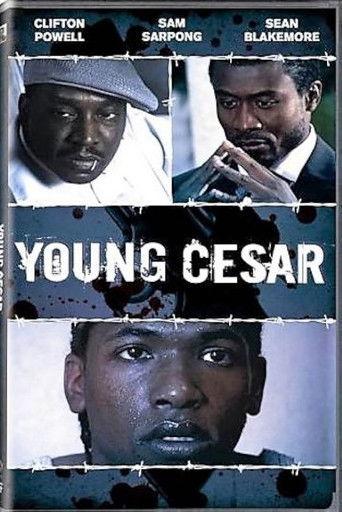 Young Cesar film afişi