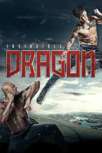 The Invincible Dragon film afişi