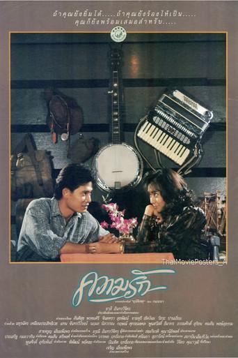 Accidental Love film afişi