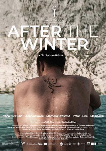 After the Winter film afişi