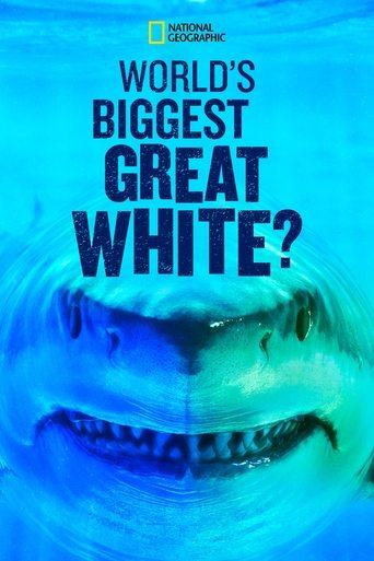 World's Biggest Great White? film afişi
