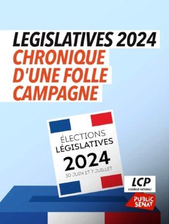 Législatives 2024 : chronique d'une folle campagne film afişi
