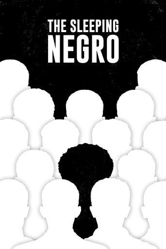 The Sleeping Negro film afişi