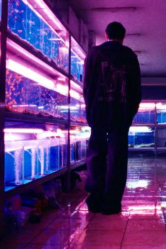 Mystery in Seoul (DOYOUNG ver.) film afişi