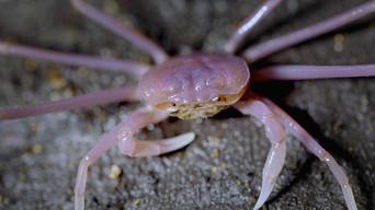 Laos: The Karst Caves