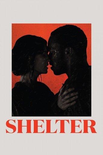 Shelter film afişi