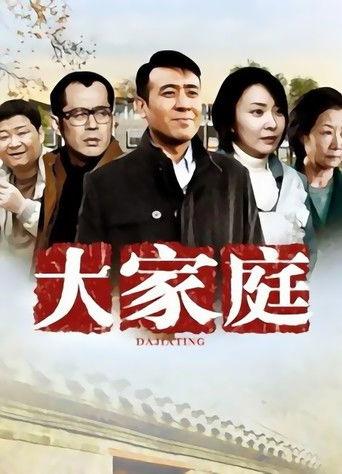 大家庭 dizi afişi
