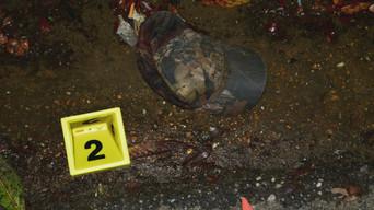 Home Ground and In the Shadows