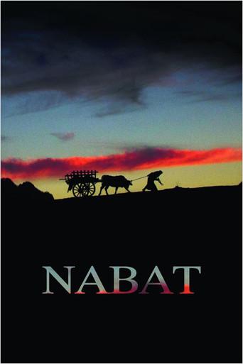 Nabat film afişi