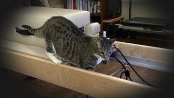 Terrorizing My Clients