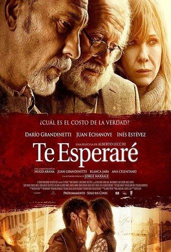 Te esperaré film afişi