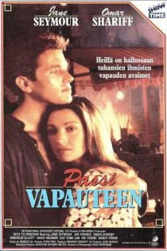 Keys to Freedom film afişi