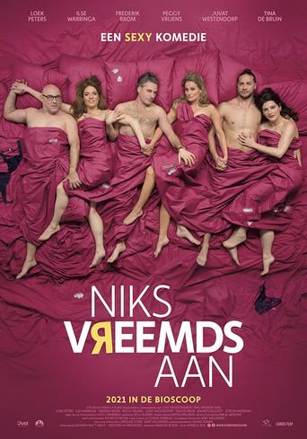 Niks vreemds aan film afişi