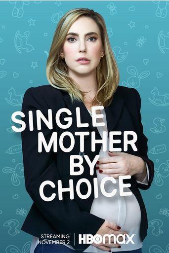 Single Mother by Choice film afişi