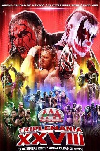 AAA Triplemania XXVIII film afişi