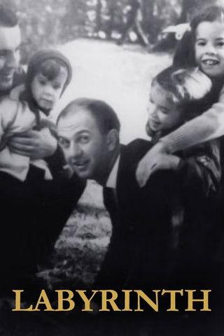 Labyrinth film afişi