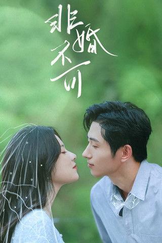 非婚不可 dizi afişi