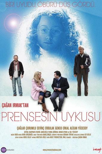 Sleeping Princess film afişi