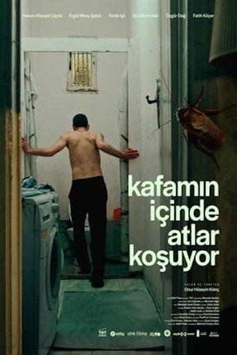 Fading in My Brain Fog film afişi