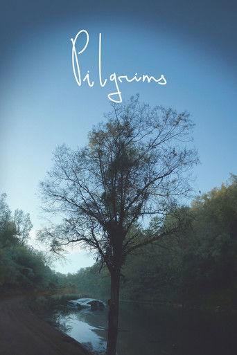 Pilgrims film afişi