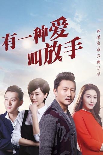 有一种爱叫放手 dizi afişi