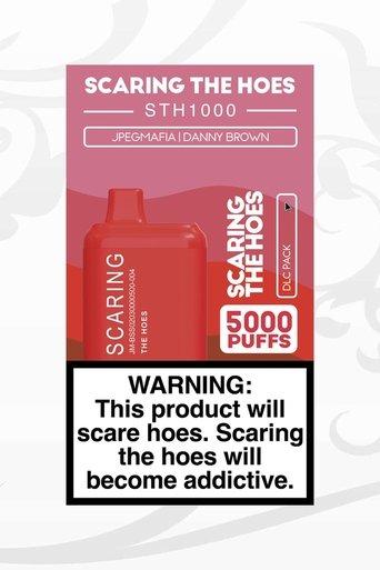 SCARING THE HOES: DLC Pack film afişi