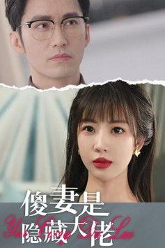 傻妻是隐藏大佬 dizi afişi