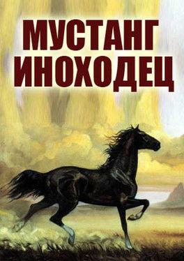 Mustang Pacer film afişi