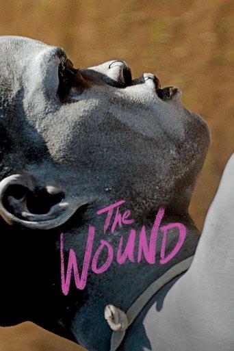 The Wound film afişi