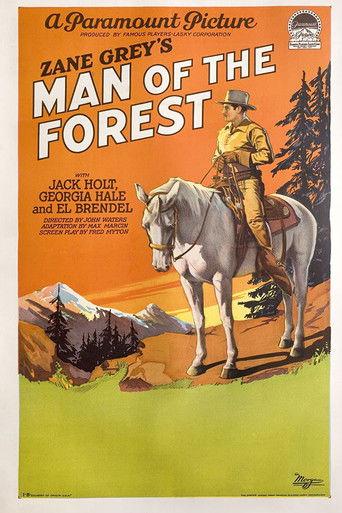 Man of the Forest film afişi