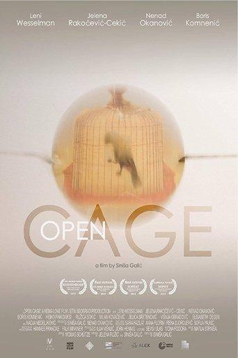 Open Cage film afişi