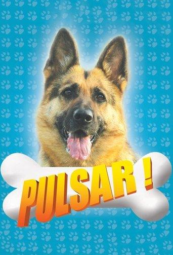 Pulsar dizi afişi