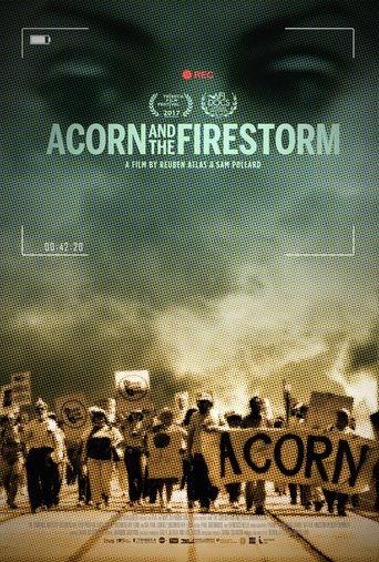 Acorn and the Firestorm film afişi