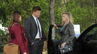 The Prince in the Plastic