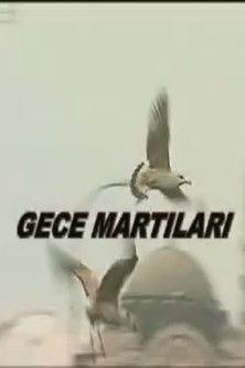 Gece Martıları film afişi
