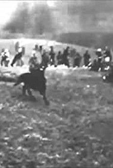 Battle of Mafeking film afişi