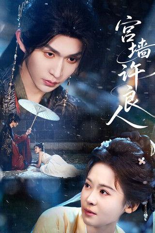 宫墙许良人 dizi afişi