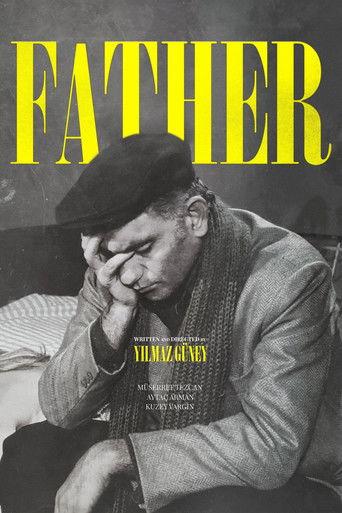 The Father film afişi