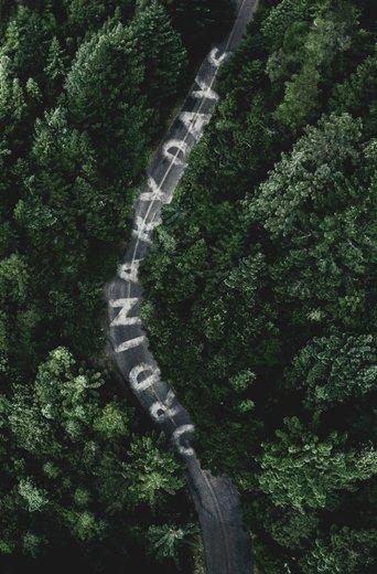 Ordinary Days film afişi