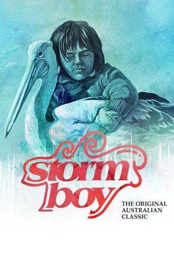Storm Boy film afişi