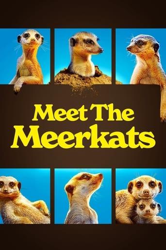 Meet The Meerkats dizi afişi