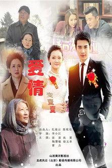 爱情变变变 dizi afişi