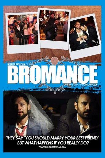 Bromance film afişi