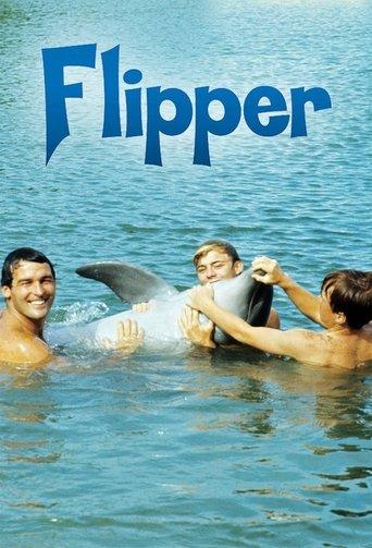 Flipper dizi afişi