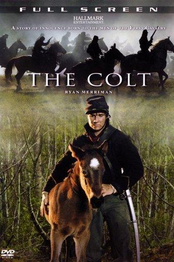 The Colt film afişi