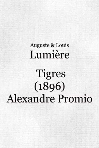 Tigers at the Zoo film afişi