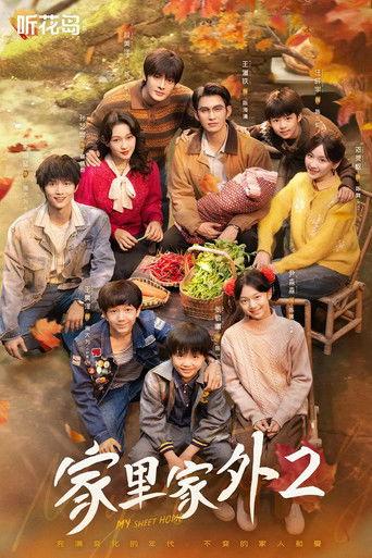 家里家外 dizi afişi