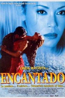 Encantado film afişi
