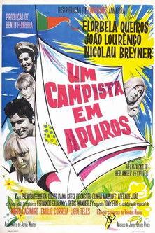Um Campista em Apuros film afişi
