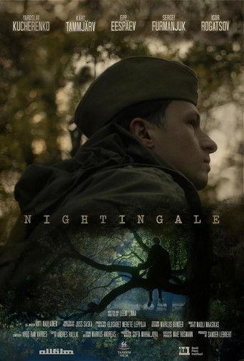 Nightingale film afişi